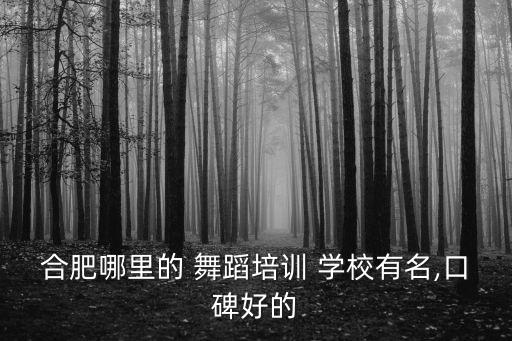 susu国际舞蹈学校,大连国际舞蹈学校招生要求