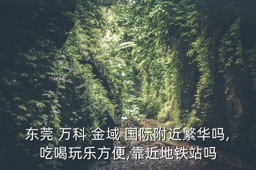 东莞 万科 金域 国际附近繁华吗,吃喝玩乐方便,靠近地铁站吗