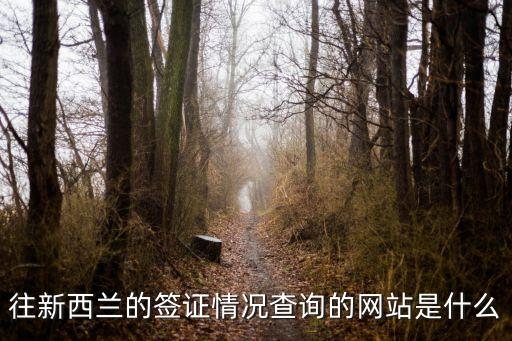 新西兰签证官网查询，哪里查询新西兰电子签证的进度