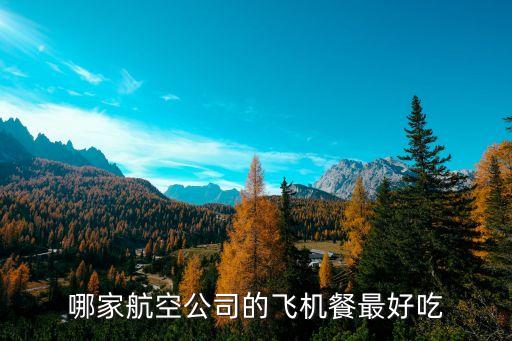 哪家航空公司的飞机餐最好吃