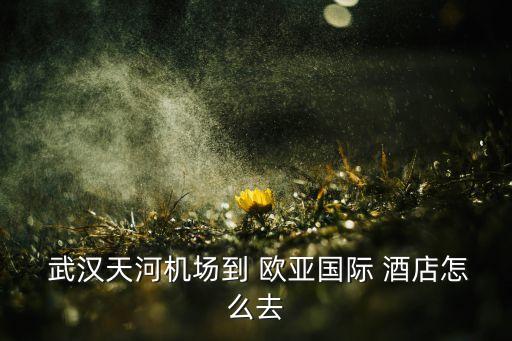  武汉天河机场到 欧亚国际 酒店怎么去