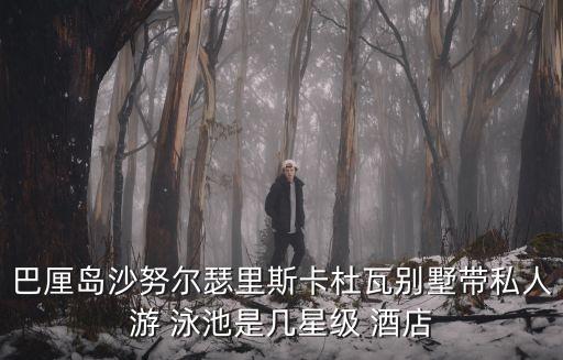 巴厘岛沙努尔瑟里斯卡杜瓦别墅带私人游 泳池是几星级 酒店