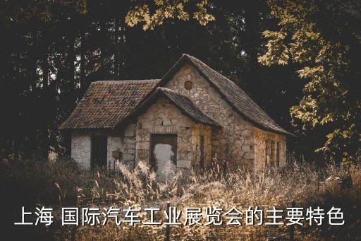 上海 国际汽车工业展览会的主要特色