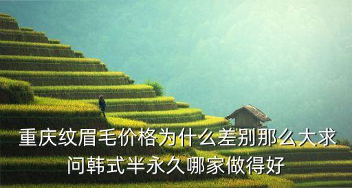 重庆美中国际龙文培老师