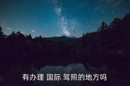 有办理 国际 驾照的地方吗