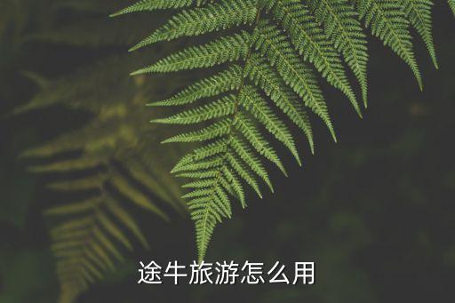 途牛旅游网官方网站国内游，途牛旅游网是个什么性质的旅游网站一般的旅行社可以入驻嘛