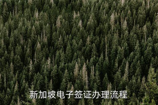新加坡电子签证办理流程