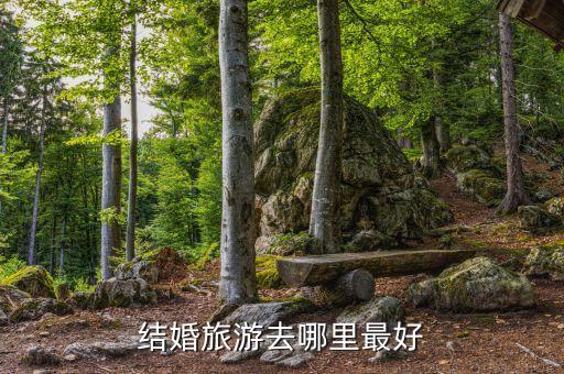 结婚旅游去哪里最好
