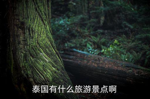 泰国有什么旅游景点啊