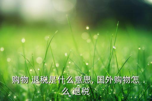 购物 退税是什么意思, 国外购物怎么 退税