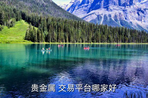 贵金属 交易平台哪家好