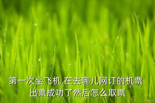 去哪儿网国际出票