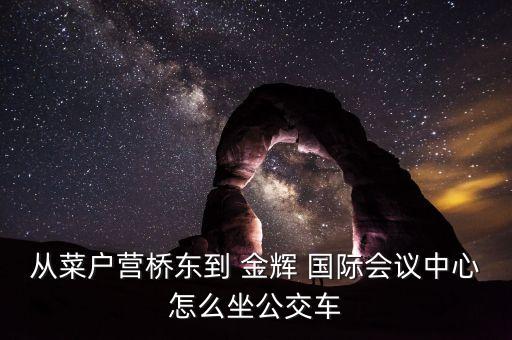 从菜户营桥东到 金辉 国际会议中心怎么坐公交车