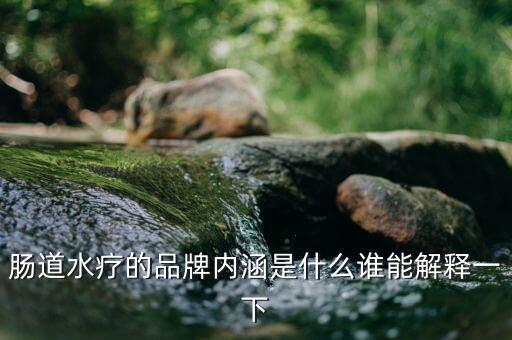 肠道水疗的品牌内涵是什么谁能解释一下