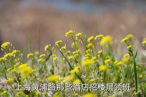 上海黄浦路那些酒店招楼层领班