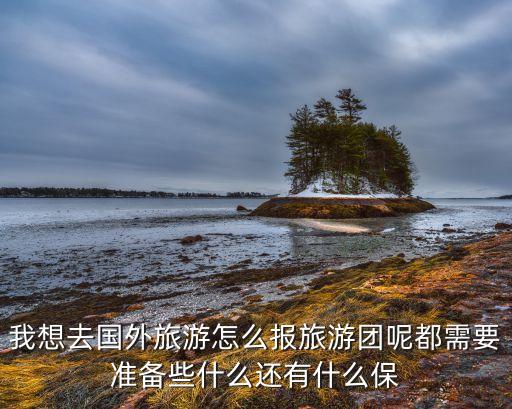 我想去国外旅游怎么报旅游团呢都需要准备些什么还有什么保