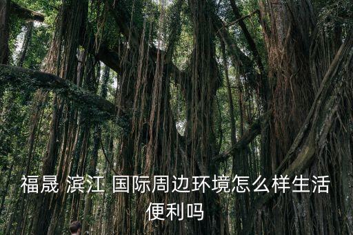 福晟 滨江 国际周边环境怎么样生活便利吗
