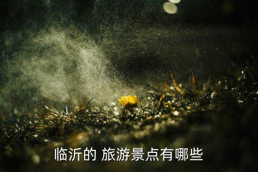 临沂的 旅游景点有哪些