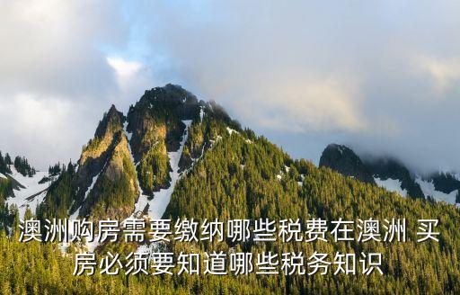 国外买房缴税吗,在国外买房怎么把钱汇过去