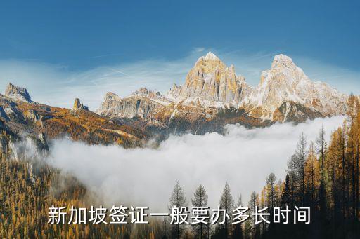国际visa办理期限,visa国际信用卡办理要多久