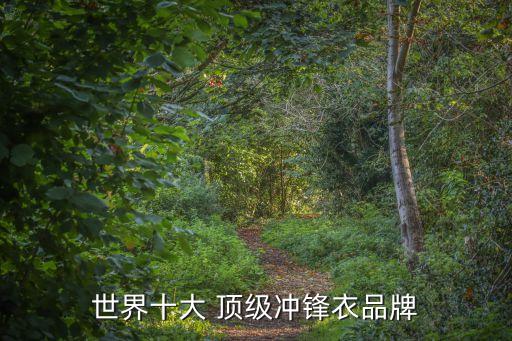 世界十大 顶级冲锋衣品牌