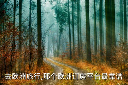 国外旅游酒店,出国旅游订酒店用什么app订比较靠谱?