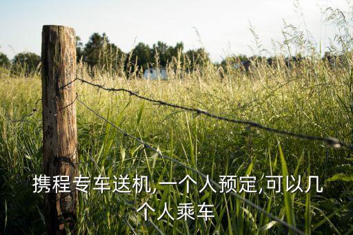 携程 国外机场接送,携程国外版本