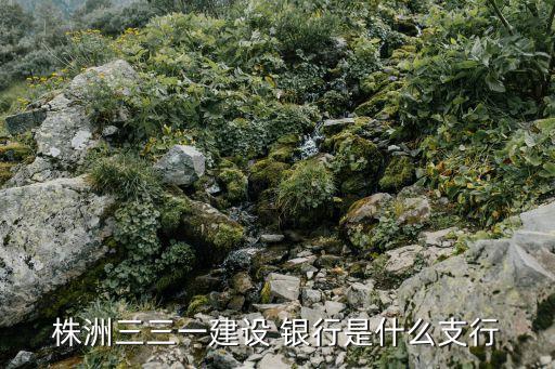 株洲三三一建设 银行是什么支行