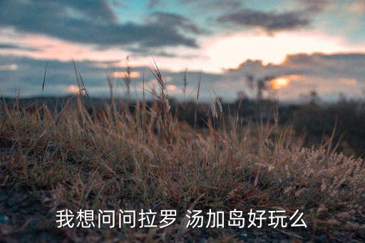 我想问问拉罗 汤加岛好玩么