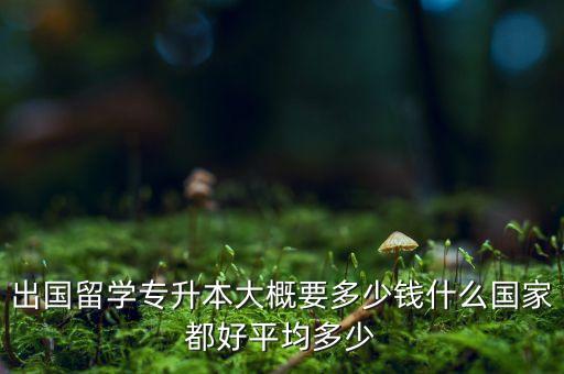 出国留学专升本大概要多少钱什么国家都好平均多少