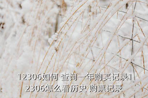 12306如何 查询一年购买记录12306怎么看历史 购票记录