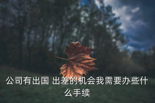 去国外出差需要资产证明吗