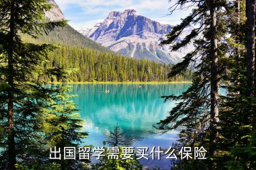 出国留学需要买什么保险