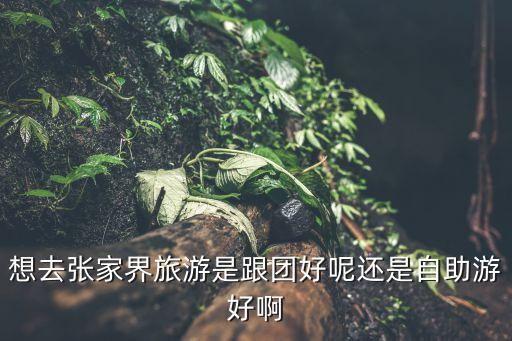 想去张家界旅游是跟团好呢还是自助游好啊