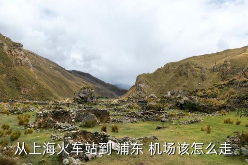 上海站如何到浦东国际机场,上海浦东国际机场到上海站坐地铁多长时间