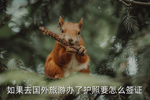 如果去国外旅游办了护照要怎么签证