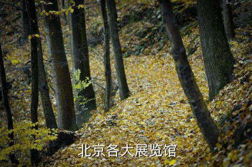  北京各大展览馆