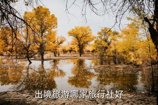 出境旅游哪家旅行社好