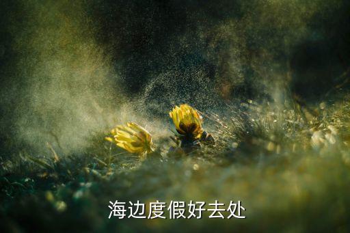  海边度假好去处