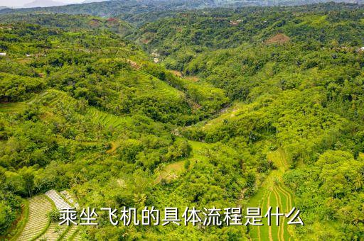 乘坐飞机的具体流程是什么