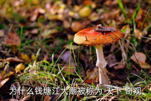 为什么钱塘江大潮被称为 天下 奇观