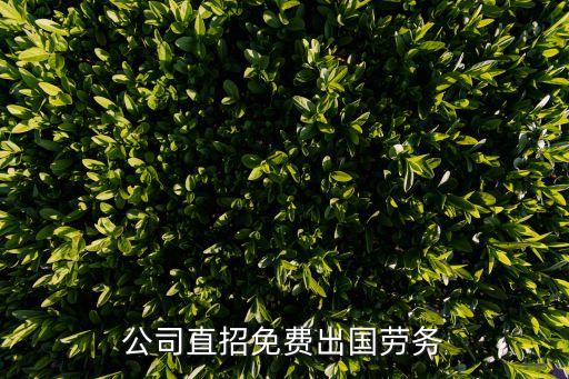 公司直招免费出国劳务