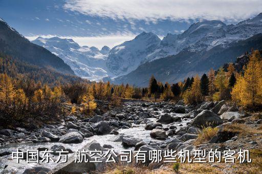 中国东方 航空公司有哪些机型的客机