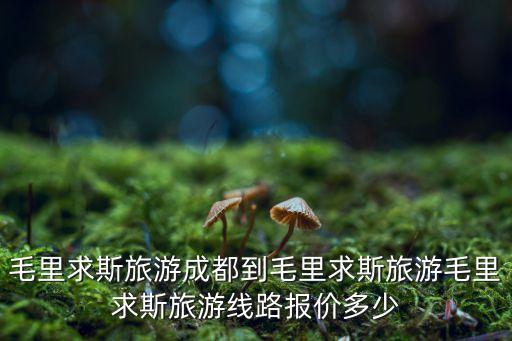毛里求斯旅游成都到毛里求斯旅游毛里求斯旅游线路报价多少