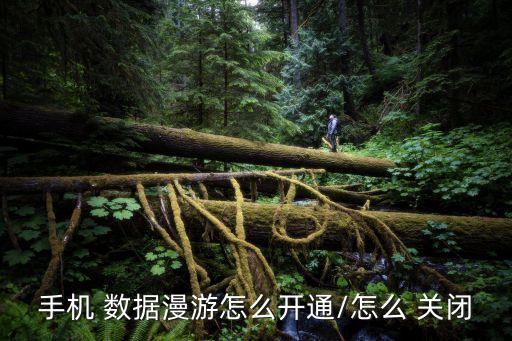手机 数据漫游怎么开通/怎么 关闭