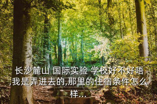 长沙麓山国际学校能不能带手机,长沙麓山国际实验学校你怎么看?