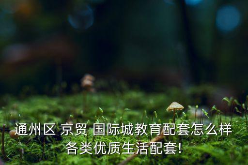 京贸国际二手房价格