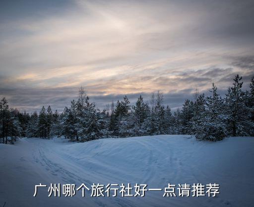 广州哪个旅行社好一点请推荐
