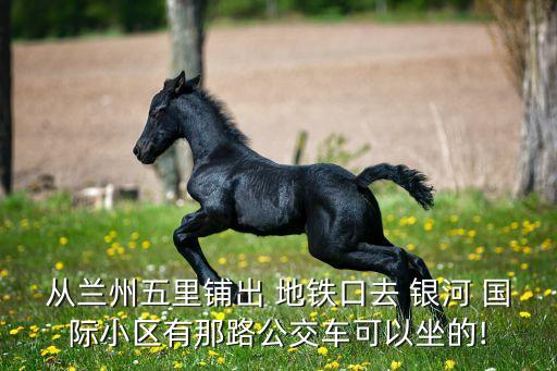 从兰州五里铺出 地铁口去 银河 国际小区有那路公交车可以坐的!