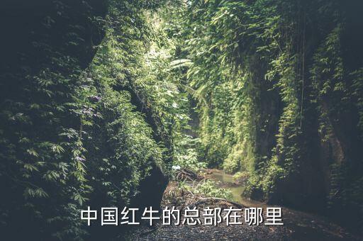 中国红牛的总部在哪里